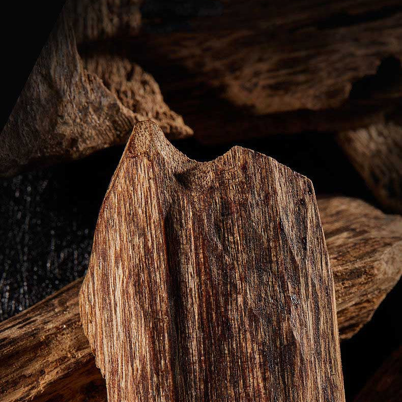 Agarwood (Oud) – Properties & Guide