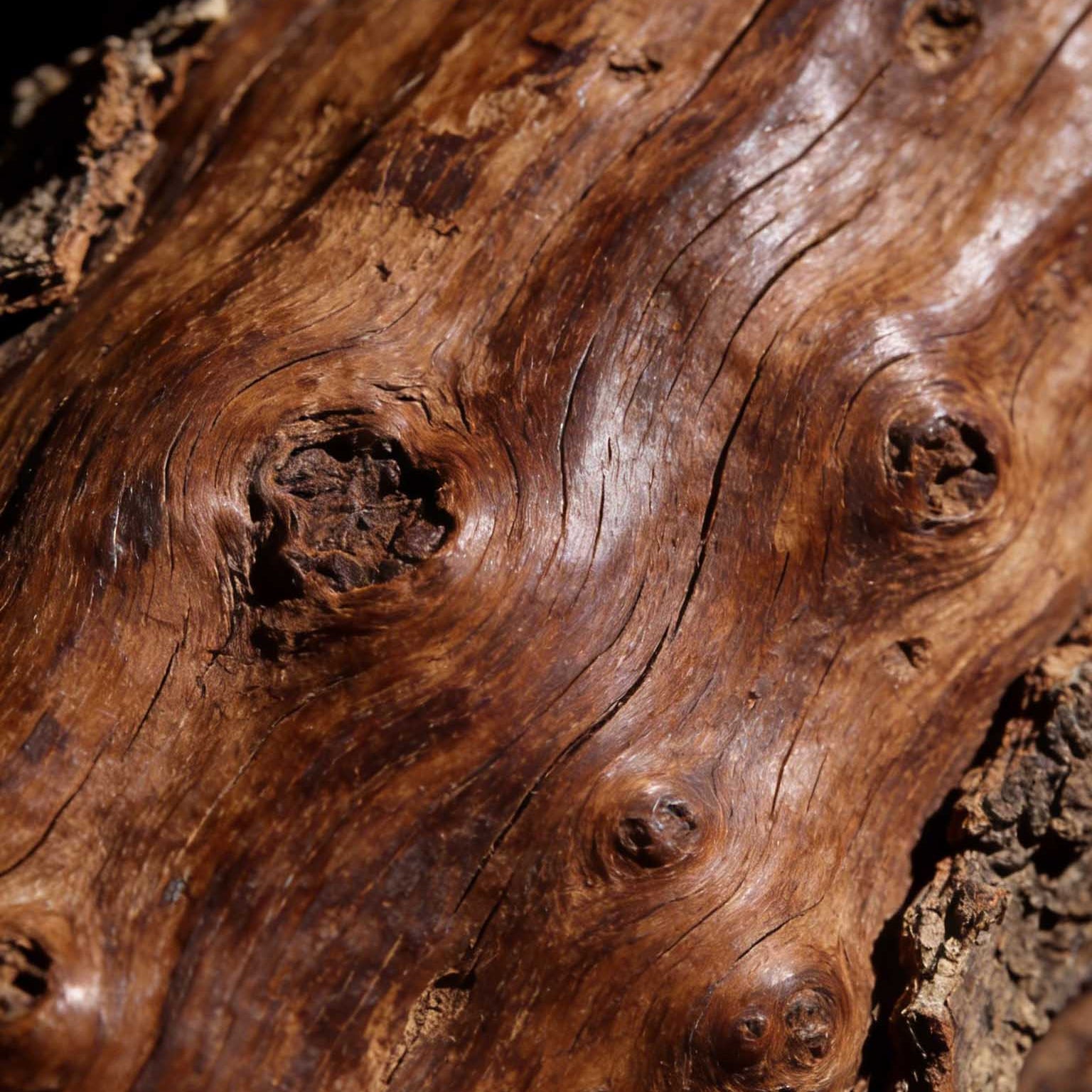 Old Mountain Sandalwood – Attributes & Cultural Meaning