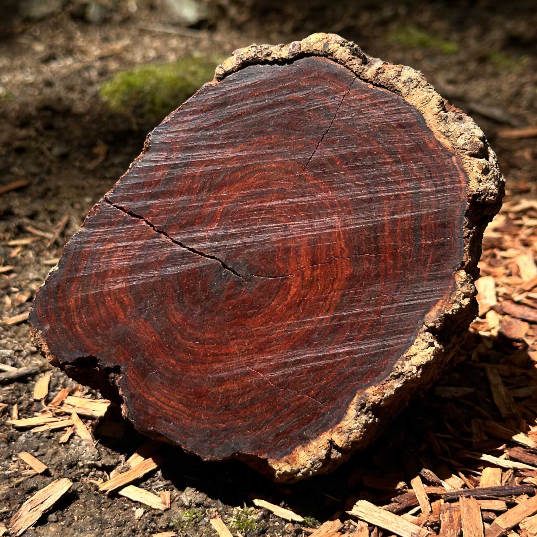 Chinese Red Sandalwood (Xiao Ye Zi Tan): Properties & Guide
